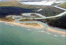 Ravenna candida l’area di Foce Bevano ad area marina protetta