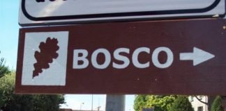 In arrivo nuovi alberelli per il bosco di Fusignano