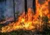 Prorogata la fase di preallarme per gli incendi boschivi in Emilia-Romagna