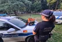 Speyer, maxi-multa per due venditori di birra abusivi
